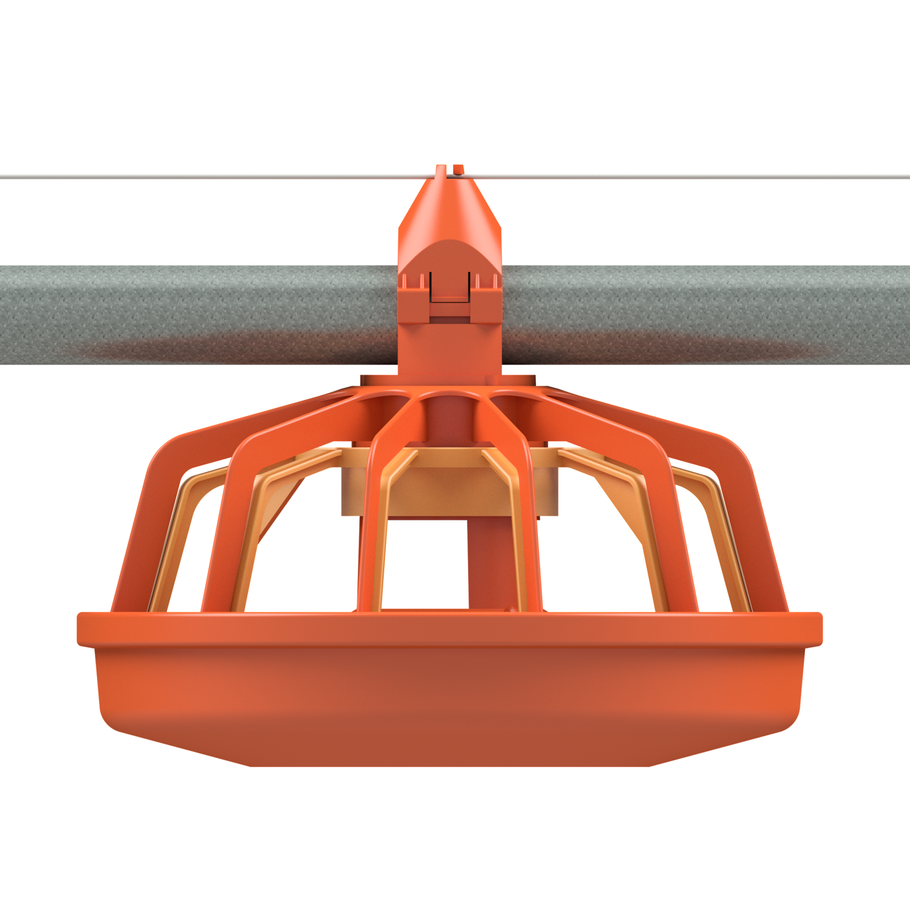 Sospesa con 12 posizioni